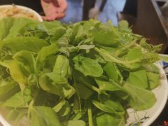 -大龙燚火锅(春熙店)