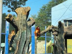 -大连森林动物园