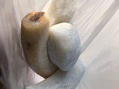 -白塔河路(地铁站)