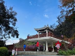 -广州市石门国家森林公园