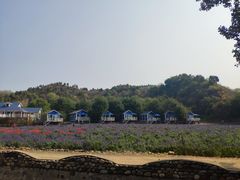 -紫海香堤香草艺术庄园