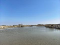 -盐城丹顶鹤湿地生态旅游区