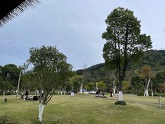 -东钱湖旅游度假区