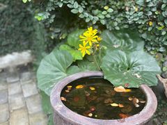 -水岸居湖景农家乐·阳澄湖大闸蟹