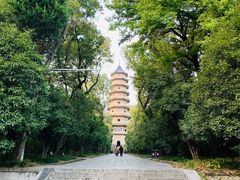 -灵谷景区