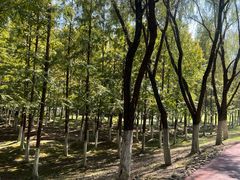-滨湖塘西河公园