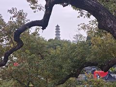 -江心屿景区