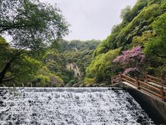-少华山国家森林公园