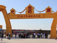 -金塔沙漠胡杨林景区