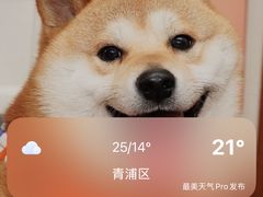 -黄弟大排档·湖南菜·小龙虾·小海鲜(凯旋北路店)