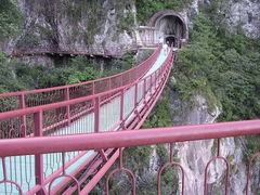 -旗山国家森林公园