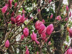 -广州市流溪河国家森林公园