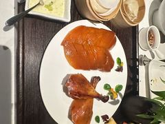 -梧桐