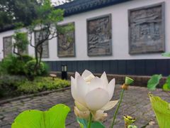 -上海方塔园