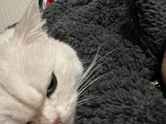 -星河湾温泉洗浴酒店