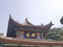 -西安碑林博物馆