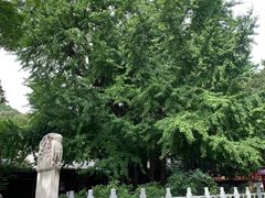 -潭柘寺景区
