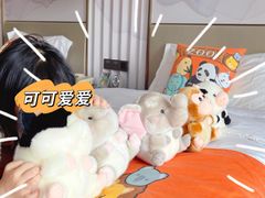 -上海千禧海鸥大酒店