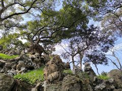 -绍兴鲁迅故里·沈园景区