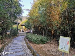 -九龙潭景区