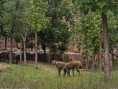 -北京野生动物园