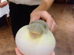 -肆月河豚·新淮扬(金融街店)