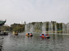 -桂湖森林公园