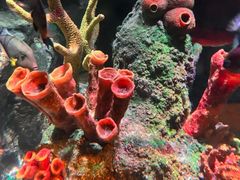 -沈阳海洋探索中心