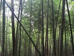景点-灵岩山风景区
