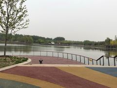 -东郊湿地公园