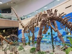 -陕西自然博物馆