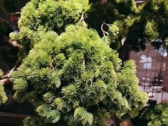 -重庆德庄火锅(映月湖环宇城店)