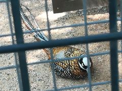 -石家庄市动物园