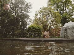 -太白山御龙湾温泉