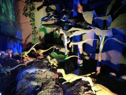 -恐龙探索乐园(磁器口店)