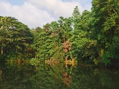 -荔香公园