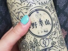 -野萃山·潮汕厚果汁(十亩地店)