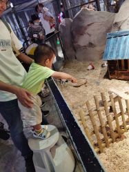 -酷嗒动物文化乐园(cutezoo西溪乐天城店)