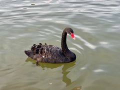 -静之湖度假区