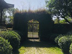 -楠溪江风景名胜区