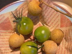 -季季山•云南野生菌火锅(上海首店)