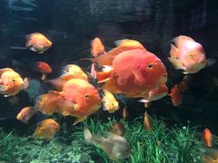 -福州罗源湾海洋世界旅游区