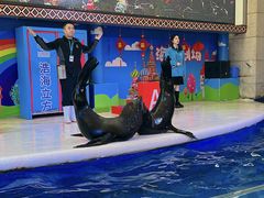 -成都浩海立方海洋公园