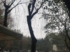 -巴山一绝烤全羊(三圣乡刘家花园店)