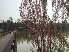 -枫香湖儿童公园