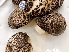 -同济大酒店(绿宝广场店)