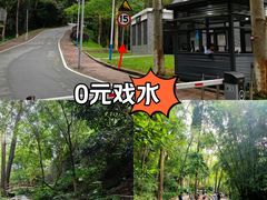 -火炉山森林公园