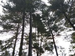 -维乐口腔医院(福清院)