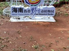 -海南热带野生动植物园