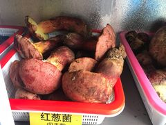 -菌海森林·非遗野生菌火锅(西山区滇池路摩根道店)